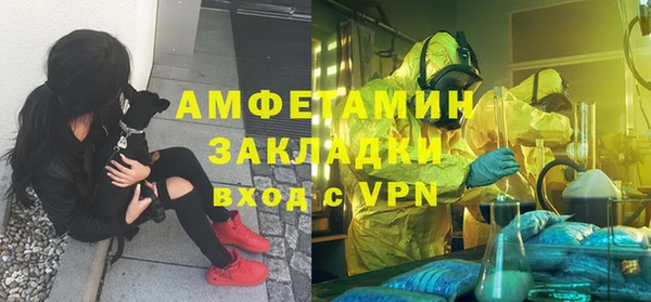 каннабис Корсаков