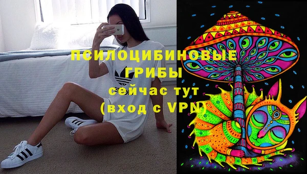 прущие крисы Архангельск