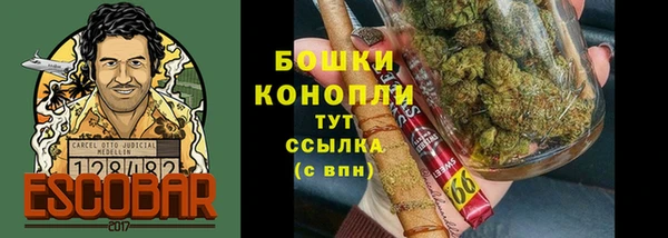 PSILOCYBIN Костерёво