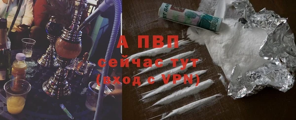 тгк Коряжма