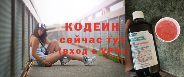 сатива Новокубанск