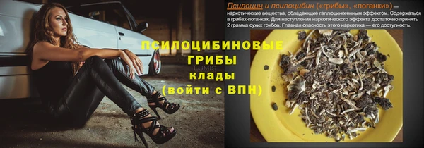 каннабис Корсаков